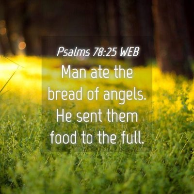 Picture 04 - Psalms 78:25 WEB - Man ate the bread of angels. He sent them food to - Bible Verse Picture