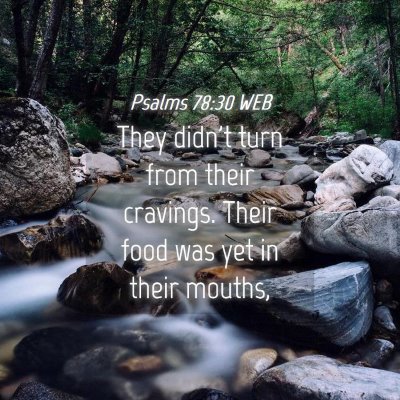 Picture 04 - Psalms 78:30 WEB - They didn't turn from their cravings. Their food - Bible Verse Picture