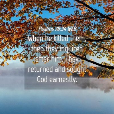 Picture 04 - Psalms 78:34 WEB - When he killed them, then they inquired after - Bible Verse Picture