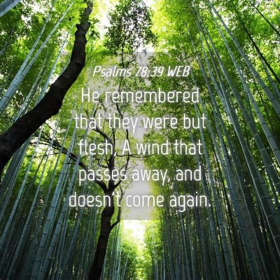 Picture 04 - Psalms 78:39 WEB - He remembered that they were but flesh, A wind - Bible Verse Picture