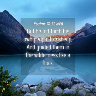 Picture 04 - Psalms 78:52 WEB - But he led forth his own people like sheep, And - Bible Verse Picture