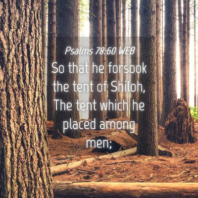 Picture 04 - Psalms 78:60 WEB - So that he forsook the tent of Shiloh, The tent - Bible Verse Picture