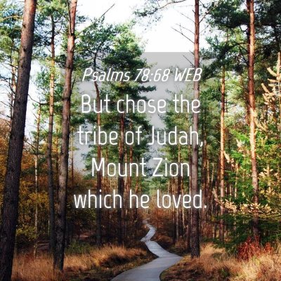 Picture 04 - Psalms 78:68 WEB - But chose the tribe of Judah, Mount Zion which he - Bible Verse Picture