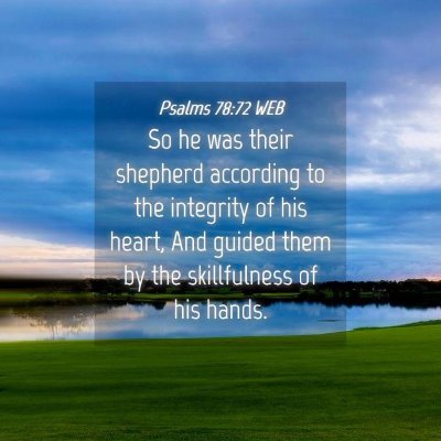 Picture 04 - Psalms 78:72 WEB - So he was their shepherd according to the - Bible Verse Picture