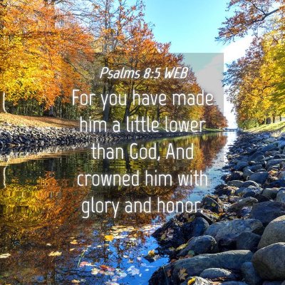 Picture 04 - Psalms 8:5 WEB - For you have made him a little lower than God, - Bible Verse Picture