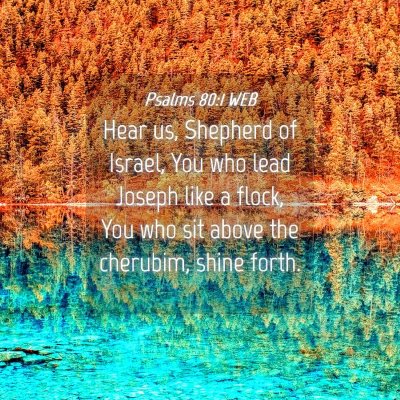 Picture 04 - Psalms 80:1 WEB - Hear us, Shepherd of Israel, You who lead Joseph - Bible Verse Picture
