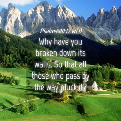 Picture 04 - Psalms 80:12 WEB - Why have you broken down its walls, So that all - Bible Verse Picture