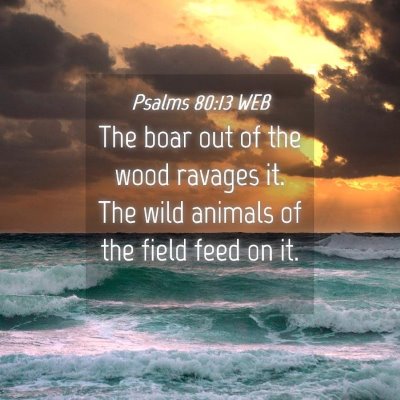 Picture 04 - Psalms 80:13 WEB - The boar out of the wood ravages it. The wild - Bible Verse Picture
