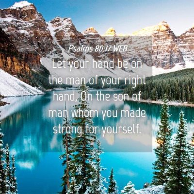 Picture 04 - Psalms 80:17 WEB - Let your hand be on the man of your right hand, - Bible Verse Picture
