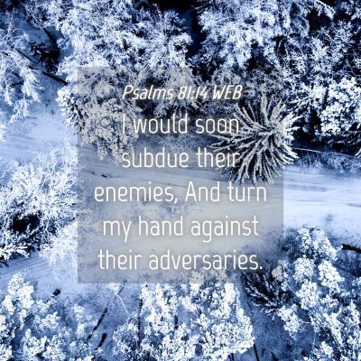 Picture 04 - Psalms 81:14 WEB - I would soon subdue their enemies, And turn my - Bible Verse Picture