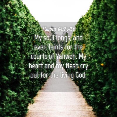 Picture 04 - Psalms 84:2 WEB - My soul longs, and even faints for the courts of - Bible Verse Picture