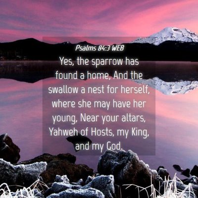 Picture 04 - Psalms 84:3 WEB - Yes, the sparrow has found a home, And the - Bible Verse Picture