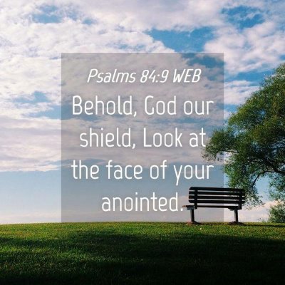 Picture 04 - Psalms 84:9 WEB - Behold, God our shield, Look at the face of your - Bible Verse Picture