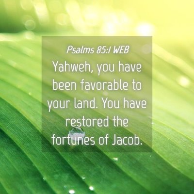 Picture 04 - Psalms 85:1 WEB - Yahweh, you have been favorable to your land. You - Bible Verse Picture