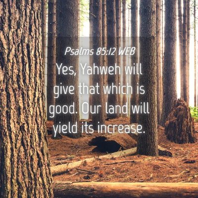 Picture 04 - Psalms 85:12 WEB - Yes, Yahweh will give that which is good. Our - Bible Verse Picture