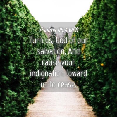 Picture 04 - Psalms 85:4 WEB - Turn us, God of our salvation, And cause your - Bible Verse Picture