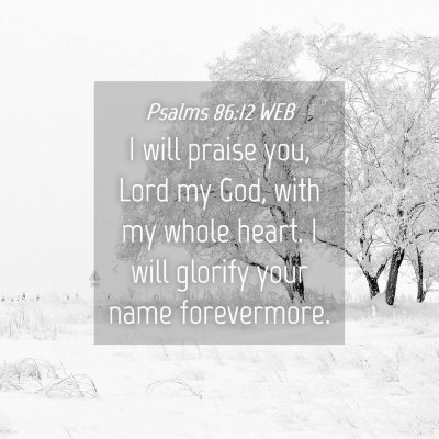 Picture 04 - Psalms 86:12 WEB - I will praise you, Lord my God, with my whole - Bible Verse Picture