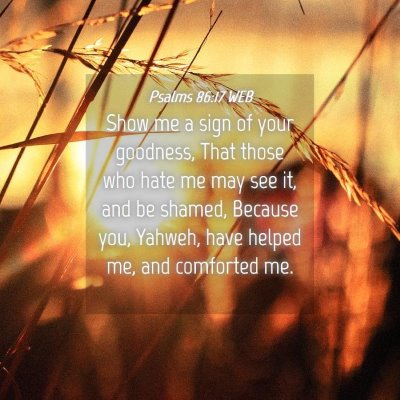 Picture 04 - Psalms 86:17 WEB - Show me a sign of your goodness, That those who - Bible Verse Picture