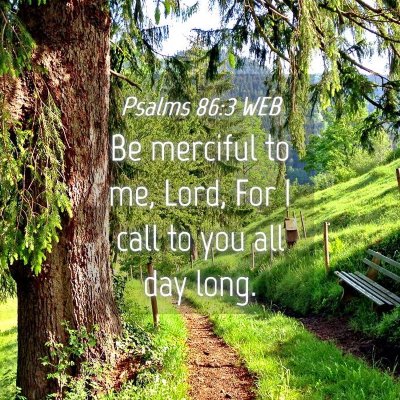Picture 04 - Psalms 86:3 WEB - Be merciful to me, Lord, For I call to you all - Bible Verse Picture