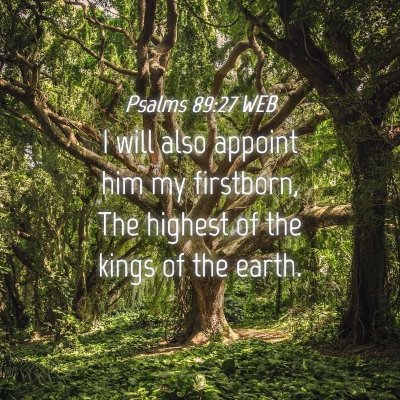 Picture 04 - Psalms 89:27 WEB - I will also appoint him my firstborn, The highest - Bible Verse Picture