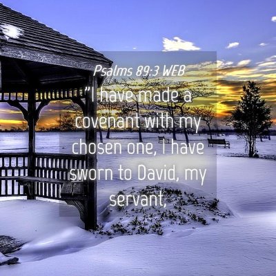 Picture 04 - Psalms 89:3 WEB - 