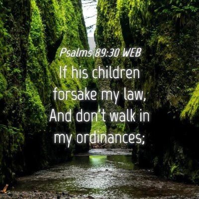 Picture 04 - Psalms 89:30 WEB - If his children forsake my law, And don't walk in - Bible Verse Picture