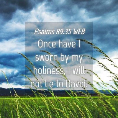 Picture 04 - Psalms 89:35 WEB - Once have I sworn by my holiness, I will not lie - Bible Verse Picture