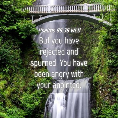 Picture 04 - Psalms 89:38 WEB - But you have rejected and spurned. You have been - Bible Verse Picture