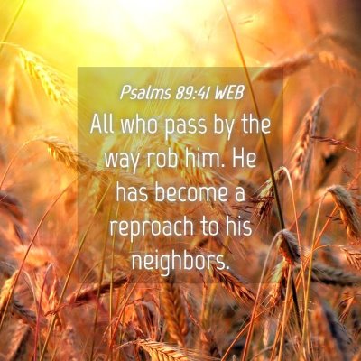 Picture 04 - Psalms 89:41 WEB - All who pass by the way rob him. He has become a - Bible Verse Picture