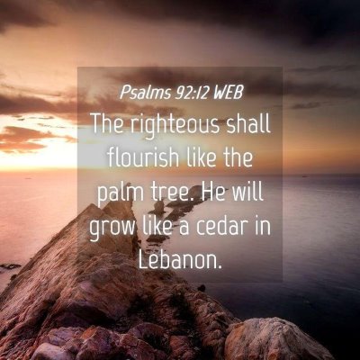 Picture 04 - Psalms 92:12 WEB - The righteous shall flourish like the palm tree. - Bible Verse Picture