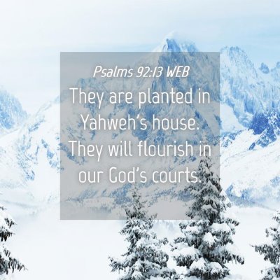 Picture 04 - Psalms 92:13 WEB - They are planted in Yahweh's house. They will - Bible Verse Picture