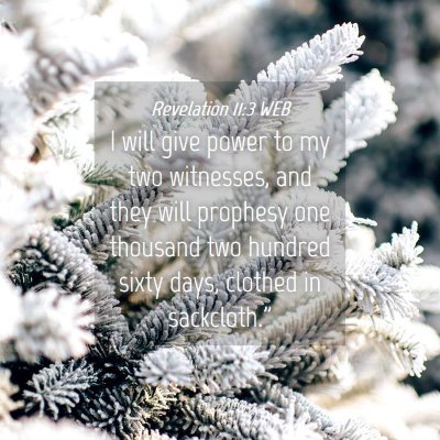 Picture 04 - Revelation 11:3 WEB - I will give power to my two witnesses, and they - Bible Verse Picture