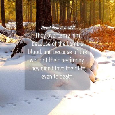 Picture 04 - Revelation 12:11 WEB - They overcame him because of the Lamb's blood, - Bible Verse Picture
