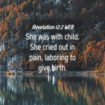 Picture 04 - Revelation 12:2 WEB - She was with child. She cried out in pain, - Bible Verse Picture