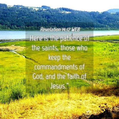 Picture 04 - Revelation 14:12 WEB - Here is the patience of the saints, those who - Bible Verse Picture
