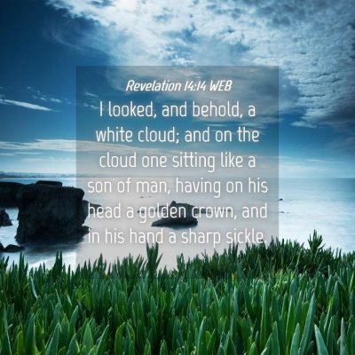 Picture 04 - Revelation 14:14 WEB - I looked, and behold, a white cloud; and on the - Bible Verse Picture
