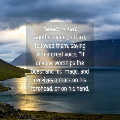 Picture 04 - Revelation 14:9 WEB - Another angel, a third, followed them, saying - Bible Verse Picture