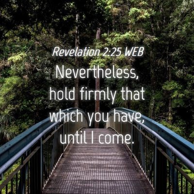 Picture 04 - Revelation 2:25 WEB - Nevertheless, hold firmly that which you have, - Bible Verse Picture