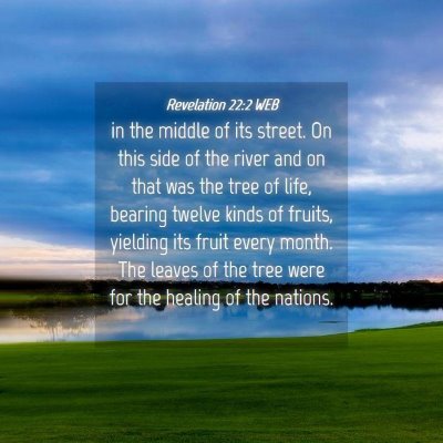 Picture 04 - Revelation 22:2 WEB - in the middle of its street. On this side of the - Bible Verse Picture