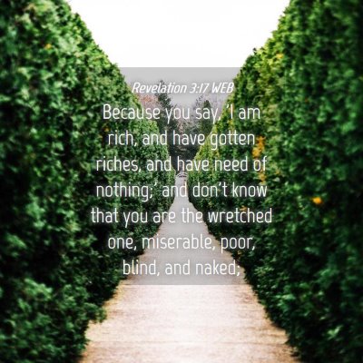 Picture 04 - Revelation 3:17 WEB - Because you say, 'I am rich, and have gotten - Bible Verse Picture