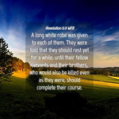 Picture 04 - Revelation 6:11 WEB - A long white robe was given to each of them. They - Bible Verse Picture
