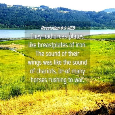 Picture 04 - Revelation 9:9 WEB - They had breastplates, like breastplates of iron. - Bible Verse Picture