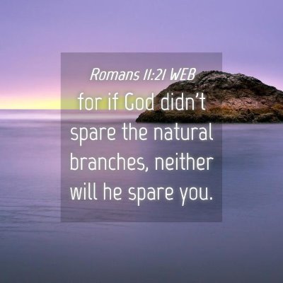 Picture 04 - Romans 11:21 WEB - for if God didn't spare the natural branches, - Bible Verse Picture