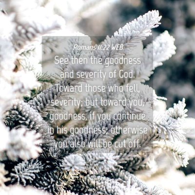 Picture 04 - Romans 11:22 WEB - See then the goodness and severity of God. Toward - Bible Verse Picture