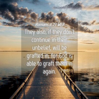 Picture 04 - Romans 11:23 WEB - They also, if they don't continue in their - Bible Verse Picture