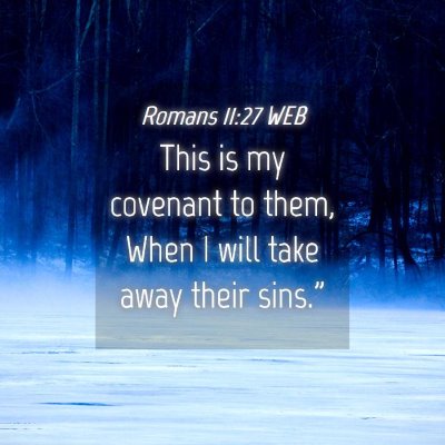 Picture 04 - Romans 11:27 WEB - This is my covenant to them, When I will take - Bible Verse Picture