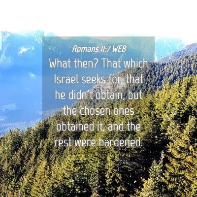 Picture 04 - Romans 11:7 WEB - What then? That which Israel seeks for, that he - Bible Verse Picture