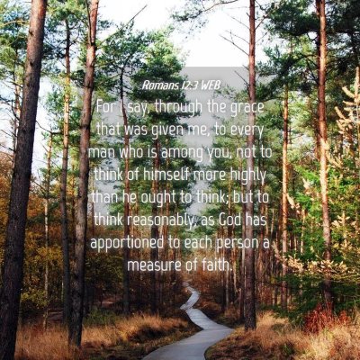 Picture 04 - Romans 12:3 WEB - For I say, through the grace that was given me, - Bible Verse Picture