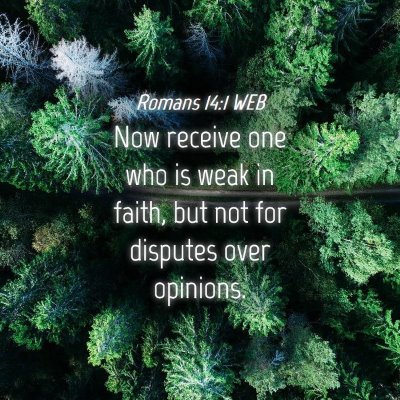 Picture 04 - Romans 14:1 WEB - Now receive one who is weak in faith, but not for - Bible Verse Picture