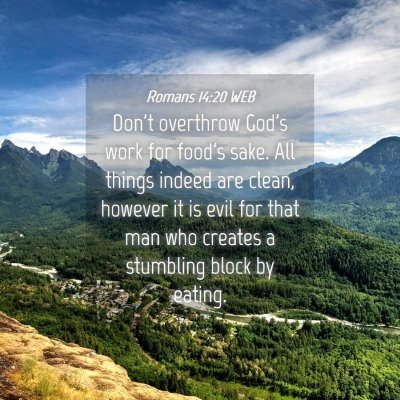 Picture 04 - Romans 14:20 WEB - Don't overthrow God's work for food's sake. All - Bible Verse Picture